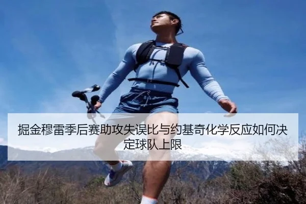 掘金穆雷季后赛助攻失误比与约基奇化学反应如何决定球队上限